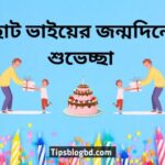 ছোট ভাইয়ের জন্মদিনের শুভেচ্ছা
