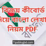বিজয় কীবোর্ড বাংলা লেখার নিয়ম pdf