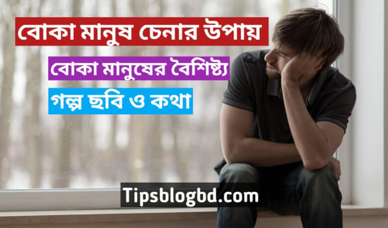 বোকা মানুষ চেনার উপায়