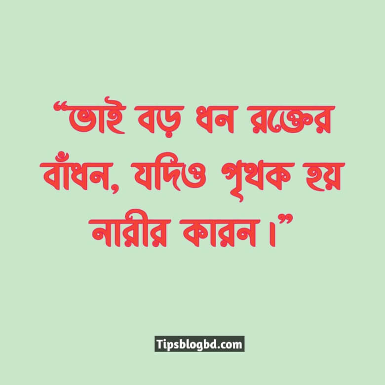 ভাইকে নিয়ে উক্তি