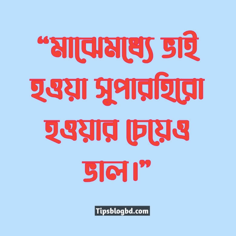ভাইকে নিয়ে স্ট্যাটাস