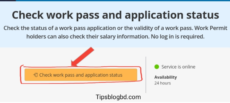 সিঙ্গাপুর কাজের ভিসা চেক করার নিয়ম singapore work pass check