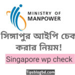 সিঙ্গাপুর আইপি চেক