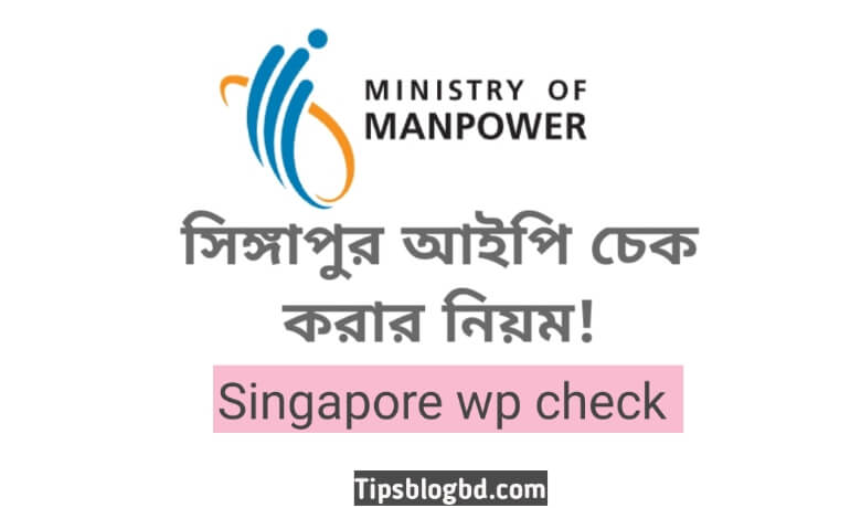সিঙ্গাপুর আইপি চেক