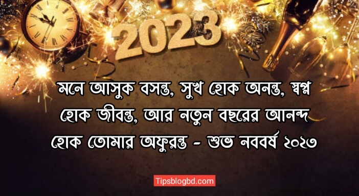 নতুন বছরের শুভেচ্ছা বাণী