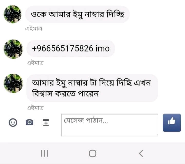 মেয়েদের ইমু নাম্বার 