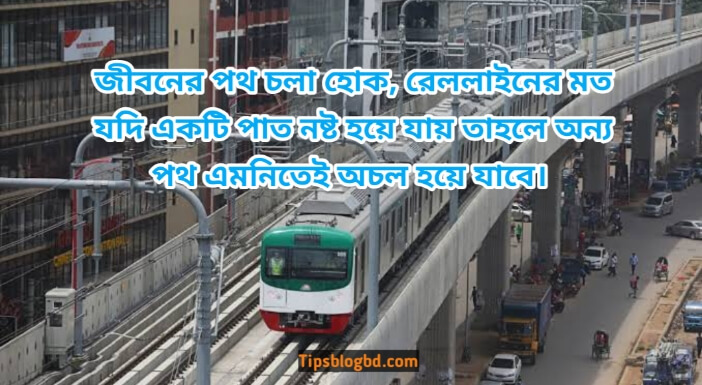 মেট্রোরেল নিয়ে উক্তি