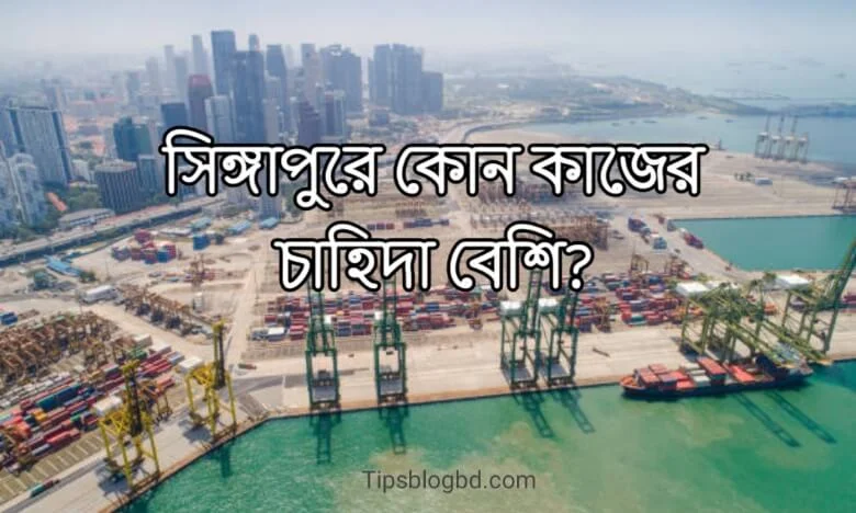 সিঙ্গাপুরে কোন কাজের চাহিদা বেশি