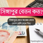 সিঙ্গাপুর বেতন কত
