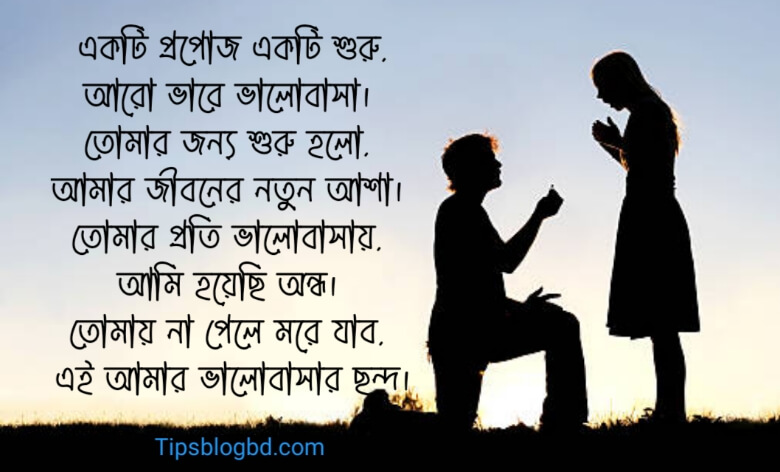 প্রপোজ করার ছন্দ ও মেসেজ