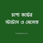 চাপা কষ্টের স্ট্যাটাস দেখুন