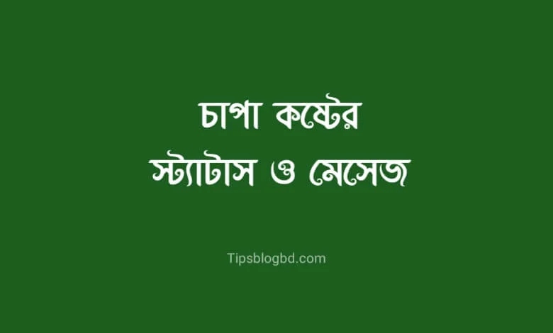 চাপা কষ্টের স্ট্যাটাস দেখুন