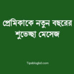 প্রেমিকাকে নতুন বছরের শুভেচ্ছা মেসেজ