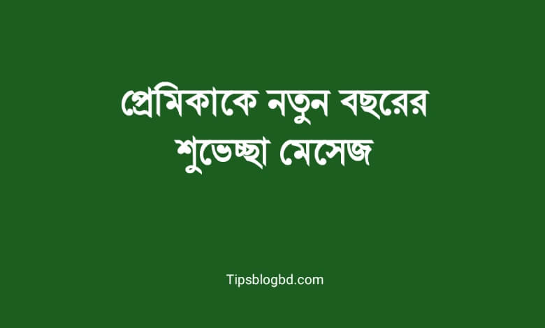 প্রেমিকাকে নতুন বছরের শুভেচ্ছা মেসেজ
