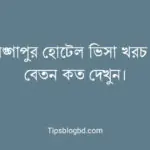 সিঙ্গাপুর হোটেল ভিসা
