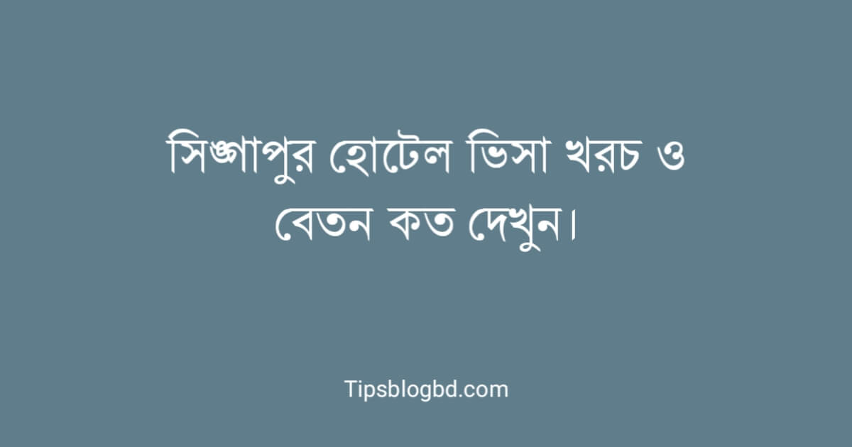 সিঙ্গাপুর হোটেল ভিসা