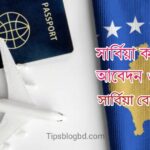 সার্বিয়া কাজের ভিসা