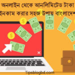 অনলাইন থেকে আনলিমিটেড টাকা ইনকাম করার সহজ উপায় বাংলাদেশে