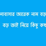 ভালোবাসার আরেক নাম বড় ভাই
